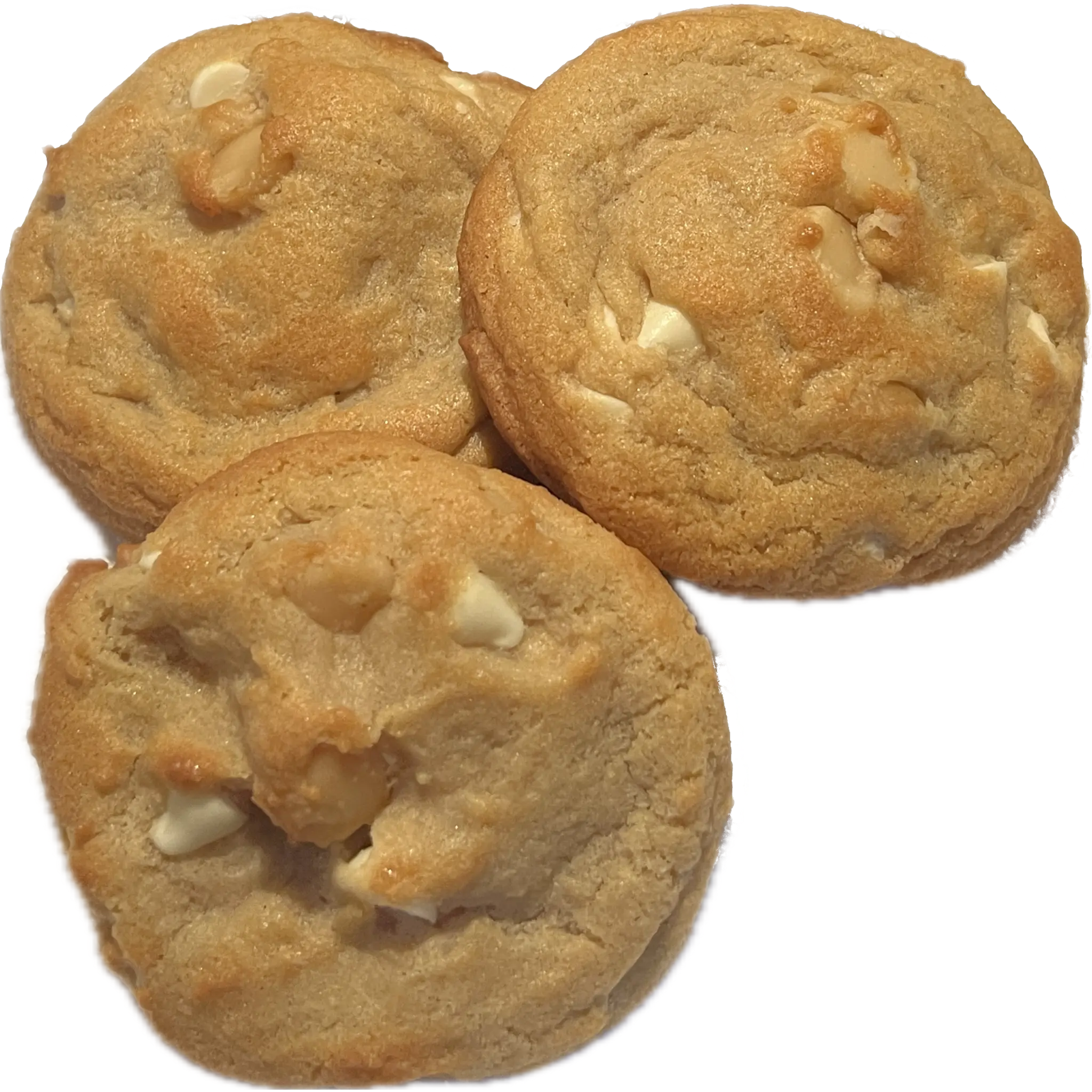 White Chocolate Macadamia Cookie